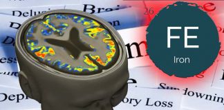 Alzheimer: regular physical exercise modulates iron metabolism in both the brain and the muscles