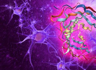Alzheimer’s disease: Hormone irisin has the ability to drive the cognitive benefits of exercise