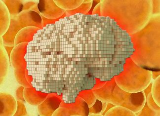 Beige fat provide protection from dementia