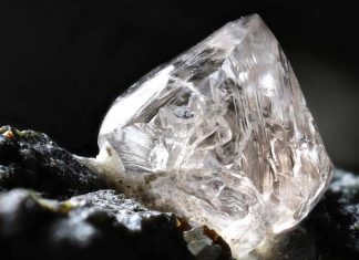 The Earth’s deepest diamonds are commonly made up of former living organisms