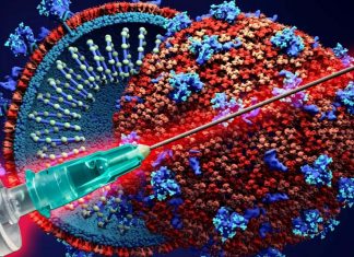 Experimental vaccine made by segment of the SARS-CoV-2 – aluminum salts and an enzyme inhibitor provide border protection