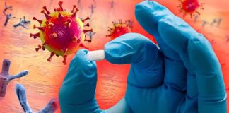 Fenofibrate drug could reduce SARS-CoV-2 infection by up to 70 per cent
