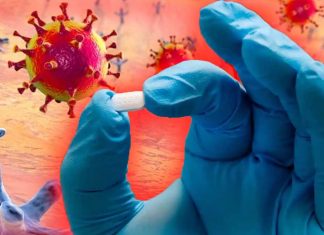 Il farmaco fenofibrato potrebbe ridurre l’infezione da SARS-CoV-2 fino al 70%