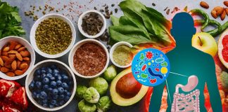 Gut microbiome plays a key role in metabolizing flavonoids to enhance their cardioprotective effects