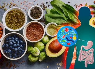 Gut microbiome plays a key role in metabolizing flavonoids to enhance their cardioprotective effects