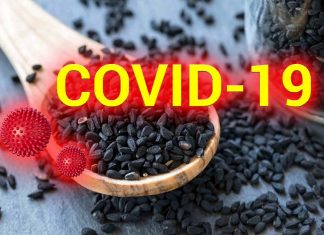 Nigella sativa could be used to treat COVID-19