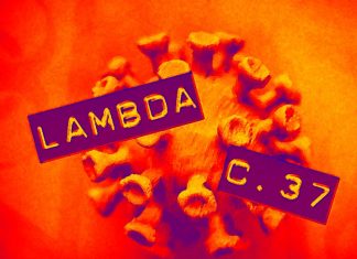 L’emergere della variante SARS-CoV-2 Lambda (C.37)