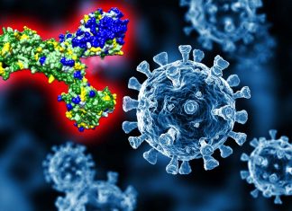 French Study Claims That ADE Is Occurring In Delta Variant Infections