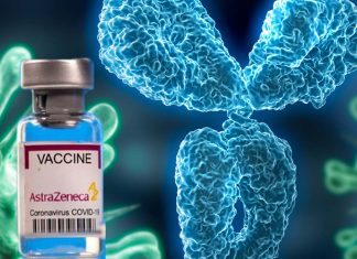 Il trattamento con gli anticorpi AstraZeneca ha mostrato un rischio ridotto del 77% di sviluppare una malattia sintomatica