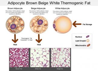 IL-25 increases production of beige fat to burn more cellular energy