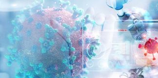 COVID-19: peptide drug called DX600 can prevent the virus entering the heart cells