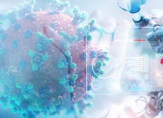 COVID-19: peptide drug called DX600 can prevent the virus entering the heart cells