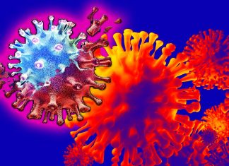 New South African SARS-CoV-2 variant called C.1.2 could change the course of the pandemic due to its ability to evade the immune system