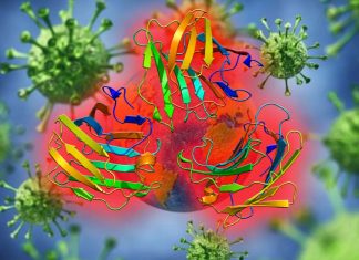 COVID-19 patients have significantly elevated levels of a protein called galectin-9