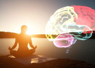 Eight weeks of meditation training enhanced brain connectivity