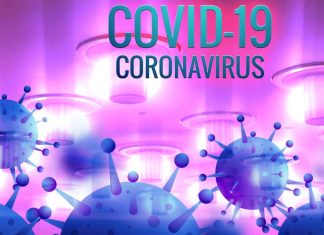 Novel microwave sterilization method could revolutionize the way ambulances and hospitals are being disinfected