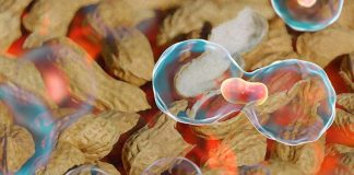 I malati di cancro che mangiano frequentemente arachidi possono essere a maggior rischio di diffusione del cancro
