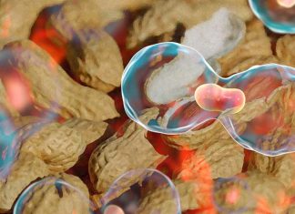 I malati di cancro che mangiano frequentemente arachidi possono essere a maggior rischio di diffusione del cancro
