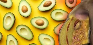 Daily Consumption Of Avocados Help Females With Waistline Fat Issues