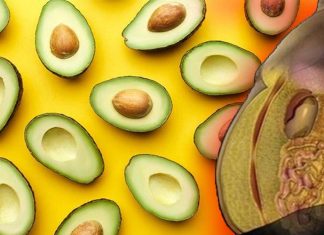 Daily Consumption Of Avocados Help Females With Waistline Fat Issues