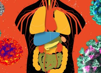 COVID-19: manifestazioni sistemiche immuno-correlate