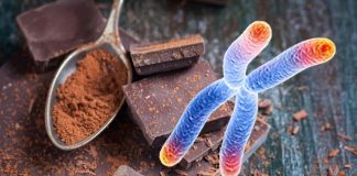Il consumo di cacao potrebbe ridurre l’infiammazione e l’invecchiamento epigenetico