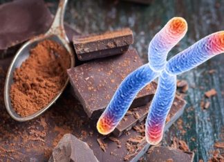 Il consumo di cacao potrebbe ridurre l’infiammazione e l’invecchiamento epigenetico