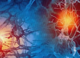 Irisin Produced During Exercising Can Prevent COVID-19 Disease Severity By Modulating Host Genes