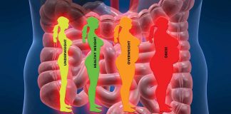 Mesenteric (gut) lymphatic dysfunction is a potential cause of and therapeutic target for obesity and insulin resistance