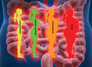 Mesenteric (gut) lymphatic dysfunction is a potential cause of and therapeutic target for obesity and insulin resistance