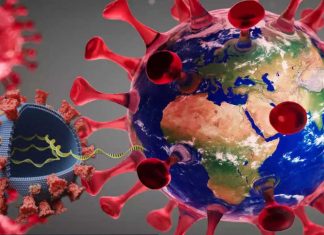 R203K/G204R Mutations On SARS-CoV-2 Nucleocapsid Protein Causes Higher Viral Loads