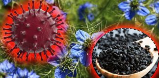 Covid-19: clinical trial involving the use of honey and Nigella Sativa L against SARS-CoV-2