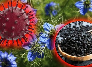 Covid-19: sperimentazione clinica sull’utilizzo di miele e Nigella Sativa L contro SARS-CoV-2