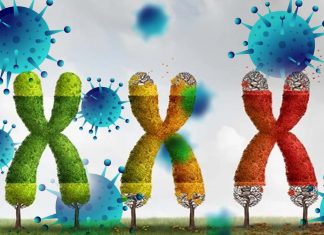 SARS-CoV-2 Has Ability To Damage Human DNA And Telomeres