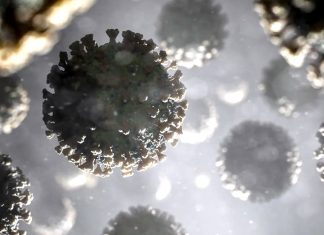 SARS-CoV-2 Coronavirus Is Evolving To Become Better At Airborne Transmissions