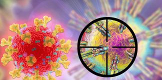 Il coronavirus SARS-CoV-2 è in grado di legarsi ad altri 13 recettori dell’ospite umano