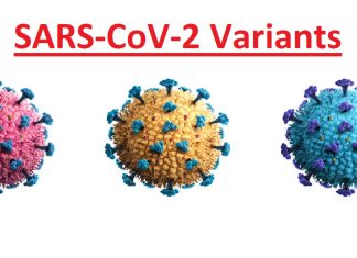 Japanese Study Shows Convalescent And Vaccine Sera Has No Effect On SARS-CoV-2 Variants
