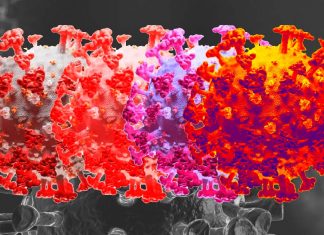 SARS-CoV-2 expresses a miRNA which aids the virus pathogenicity