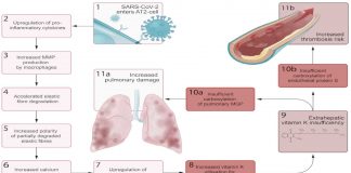 Vitamin K Plays A Role In COVID-19