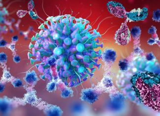 Japanese researchers have obtained elite antibodies that bind to multiple threatening strains of SARS-CoV-2