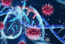 Researchers Identify Four Human Host Exosomal miRNAs That Inhibit SARS-CoV-2