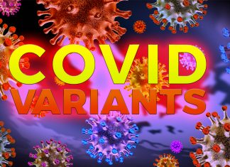 Four Worrisome SARS-CoV-2 Variants WNY1-4 Found In American Sewers