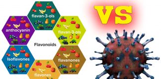 Come prevenire l’infiammazione gastrointestinale e la diarrea da COVID-19 con i flavonoidi?