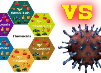 Come prevenire l’infiammazione gastrointestinale e la diarrea da COVID-19 con i flavonoidi?