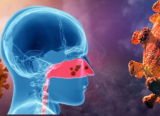 Relationship between the nasopharyngeal microbiota and the severity of COVID-19