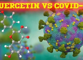 COVID-19: la quercetina ha un’elevata affinità di legame per la proteina spike ed aiuta a inibire SARS-CoV-2