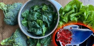 Mangiare spinaci potrebbe prevenire il cancro al colon