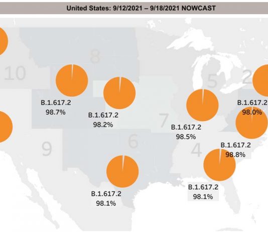 Daily COVID-19 Deaths In America Are Hitting Almost 1900