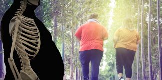 The Lack Of A Brain Protein Called XRN1 Disrupts Appetite And Metabolic Regulation Resulting In Obesity
