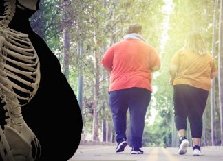 The Lack Of A Brain Protein Called XRN1 Disrupts Appetite And Metabolic Regulation Resulting In Obesity